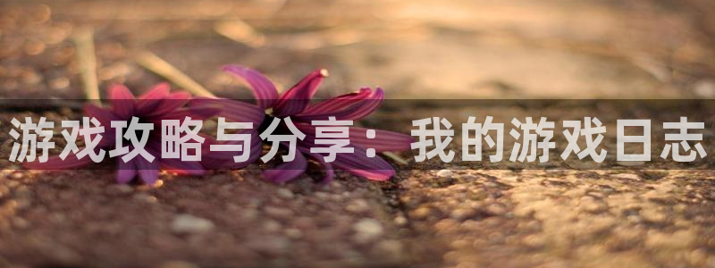 极悦娱乐平台登录：游戏攻略与分享：我的游戏日志
