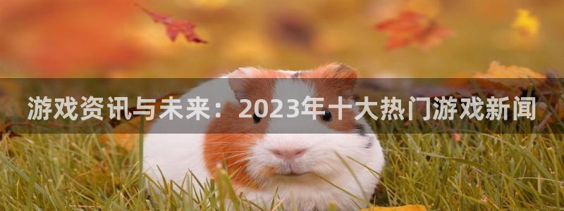 极悦娱乐4招商：游戏资讯与未来：2023年十大热门游戏新闻