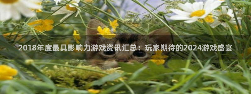 极悦娱乐平台：2018年度最具影响力游戏资讯汇总：玩家期待的