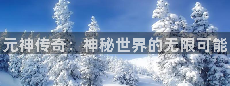 极悦娱乐登陆测速：元神传奇：神秘世界的无限可能