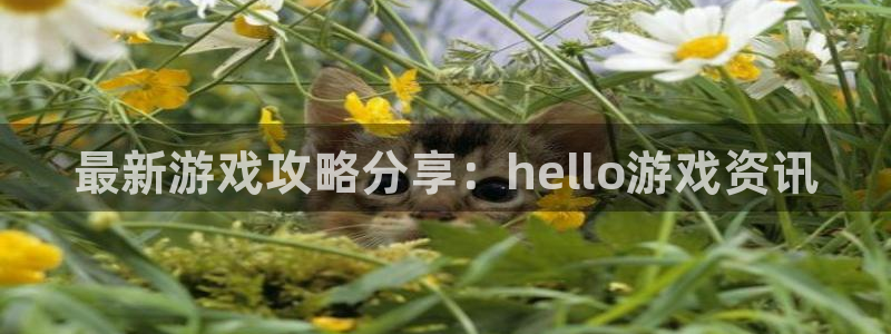 极悦娱乐平台官网登录：最新游戏攻略分享：hello游戏资讯