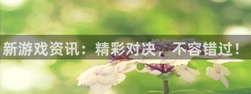 极悦娱乐怎么注册：新游戏资讯：精彩对决，不容错过！