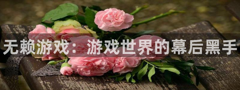 极悦娱乐注册账号:无赖游戏:游戏世界的幕后黑手