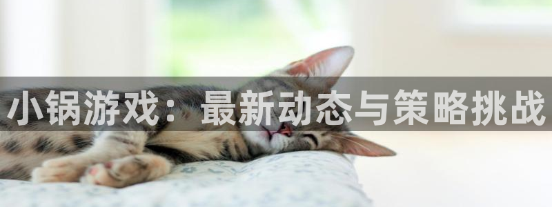 极悦娱乐平台官方网站