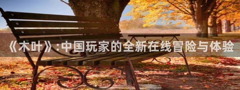 极悦娱乐升级5994月：《木叶》:中国玩家的全新在线冒险与体
