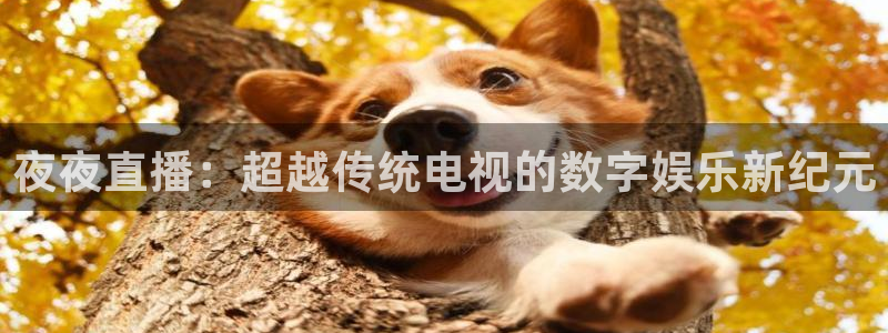 球神直播足球