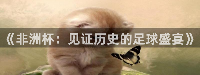 球神 直播：《非洲杯：见证历史的足球盛宴》