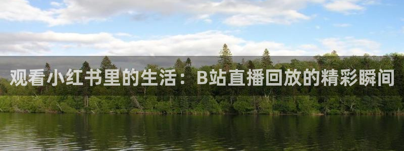 球神直播体育在线观看网址：观看小红书里的生活：B站直播回放的精彩瞬间